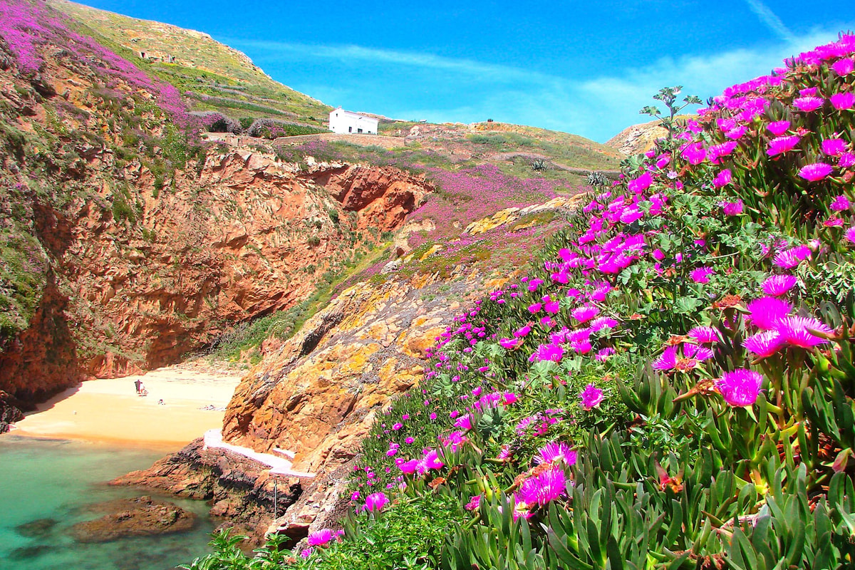 View of Berlenga Grande from the Atlantic